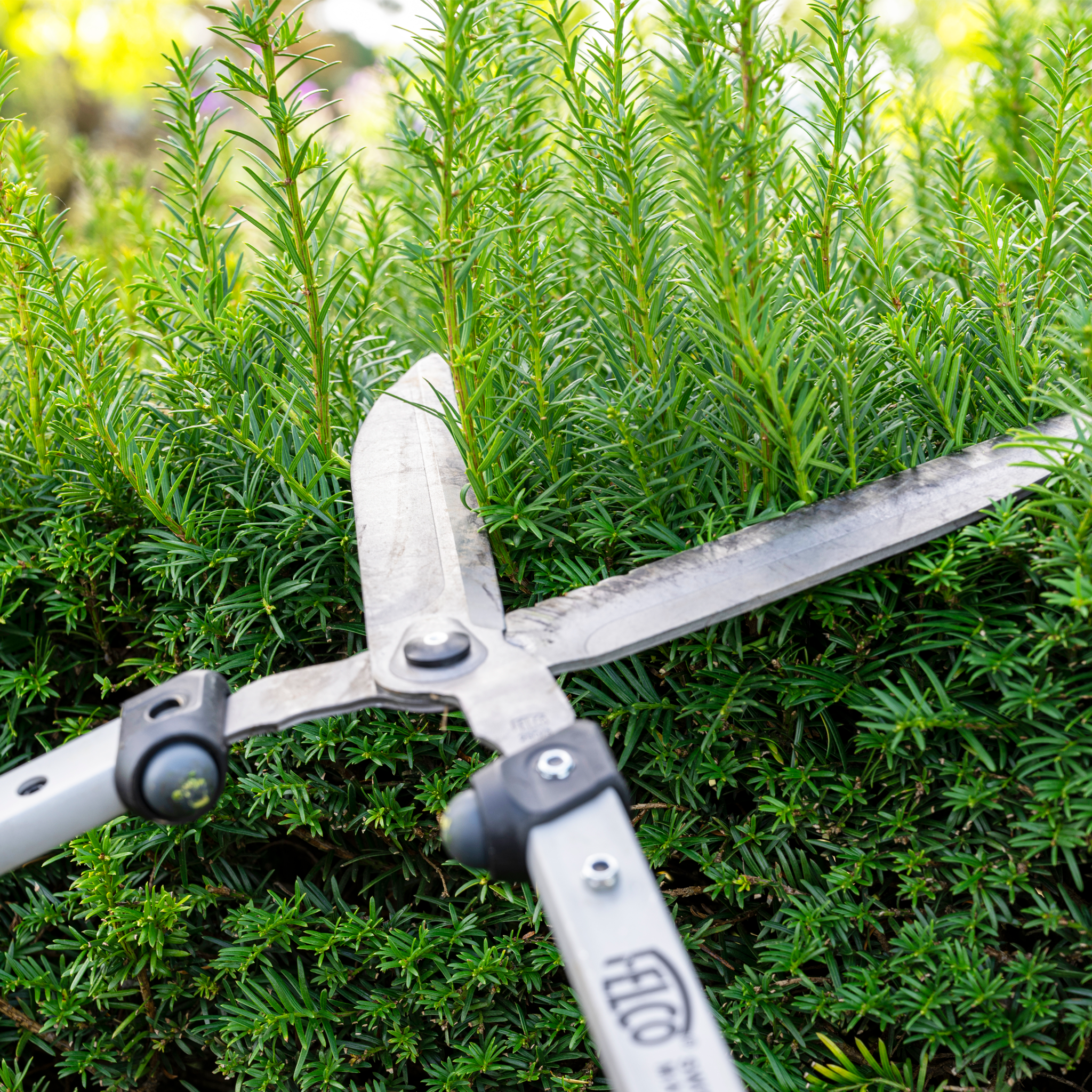 Tijera cortasetos Felco 63 cm