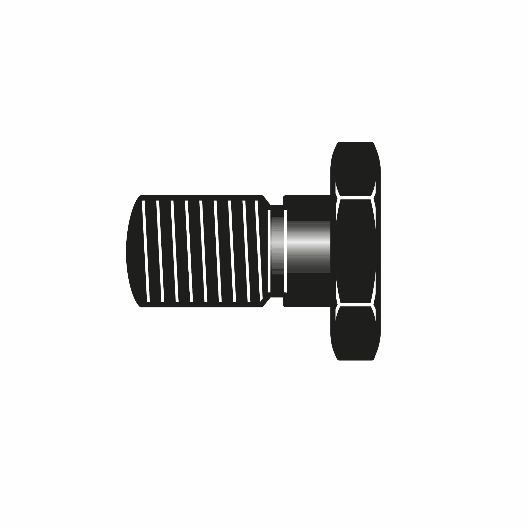 Repuesto Felco: Perno Central Tijera Felco 5