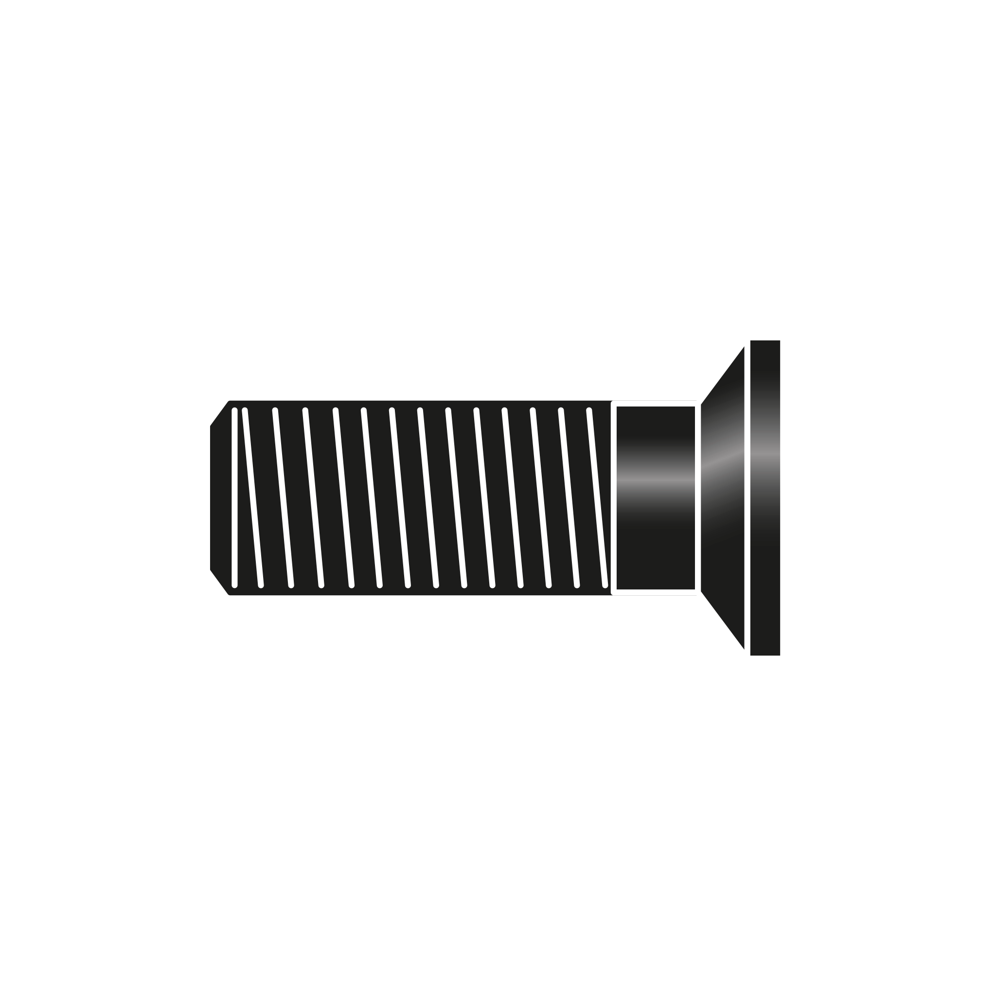 Tornillo cizalla C112/10