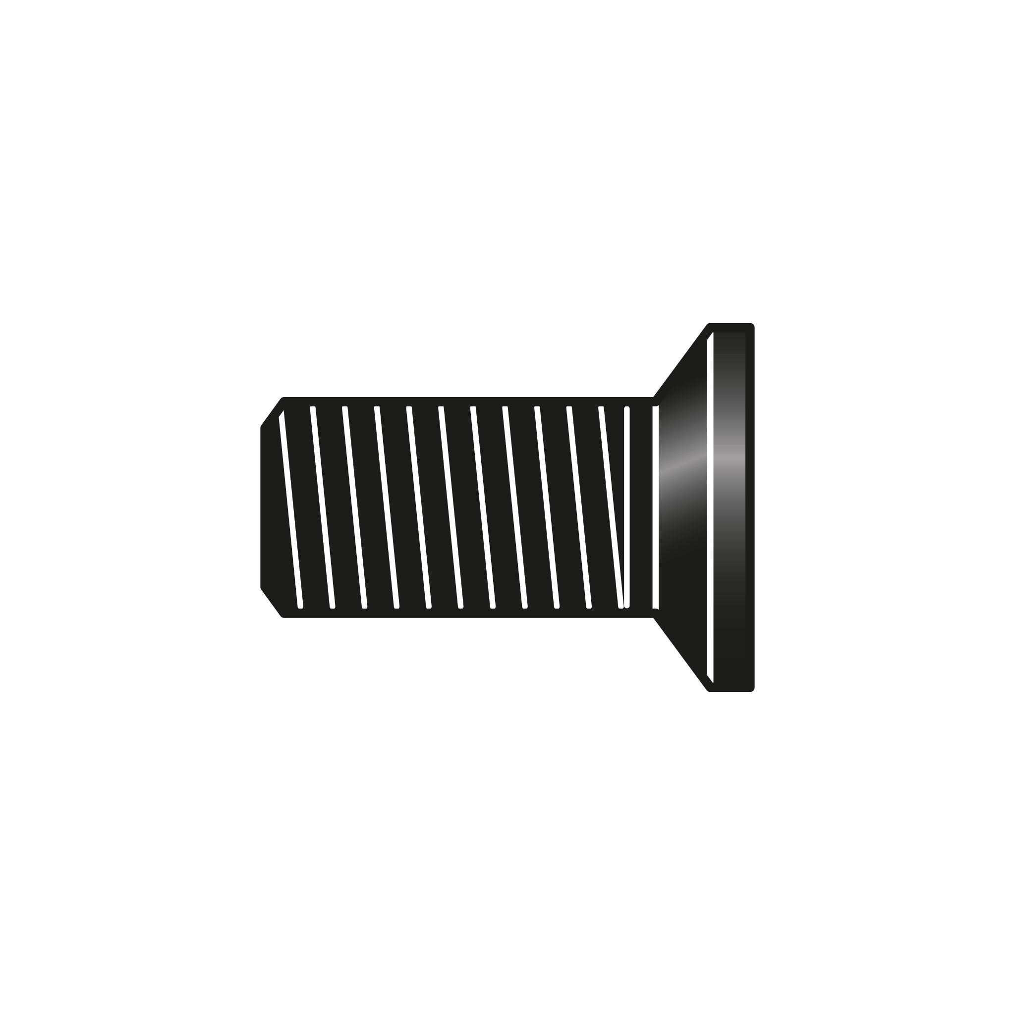Tornillo cizalla C12/10