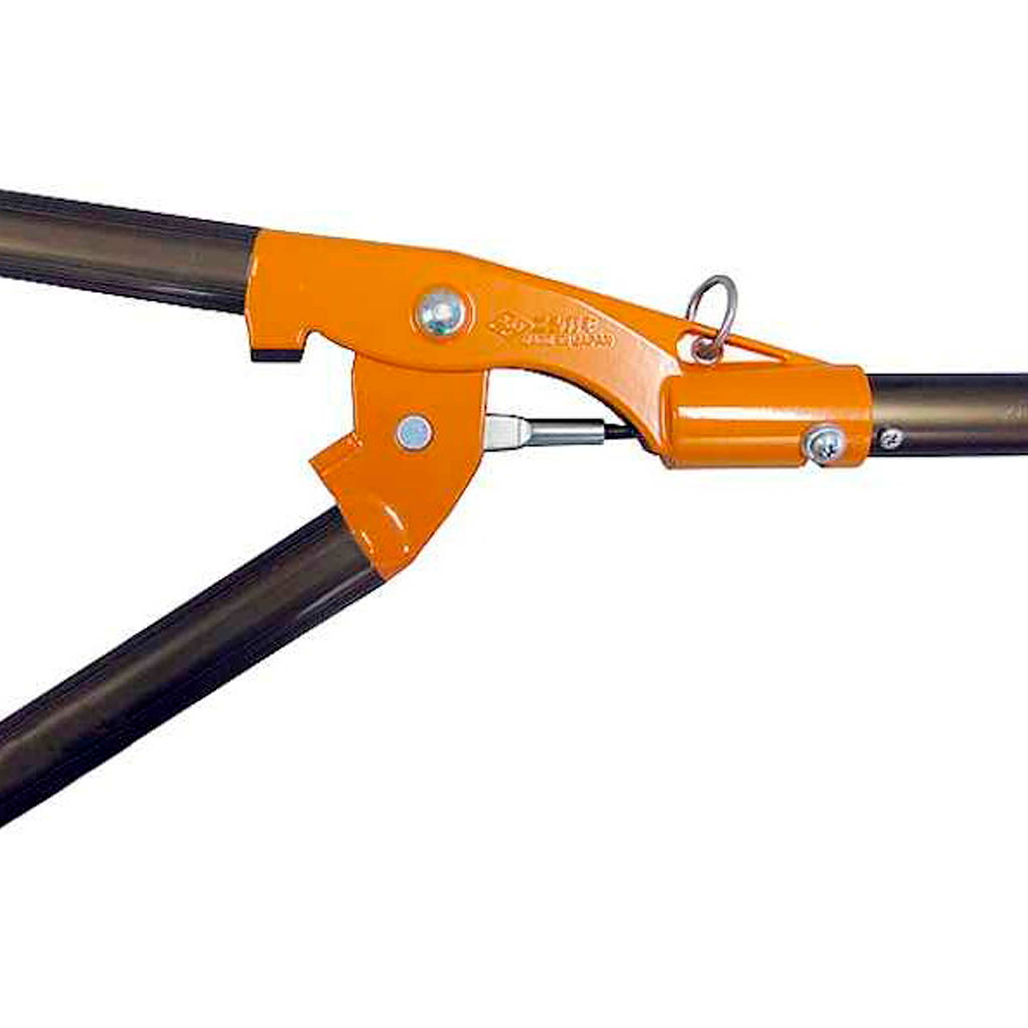 Tijerón de altura 2 m