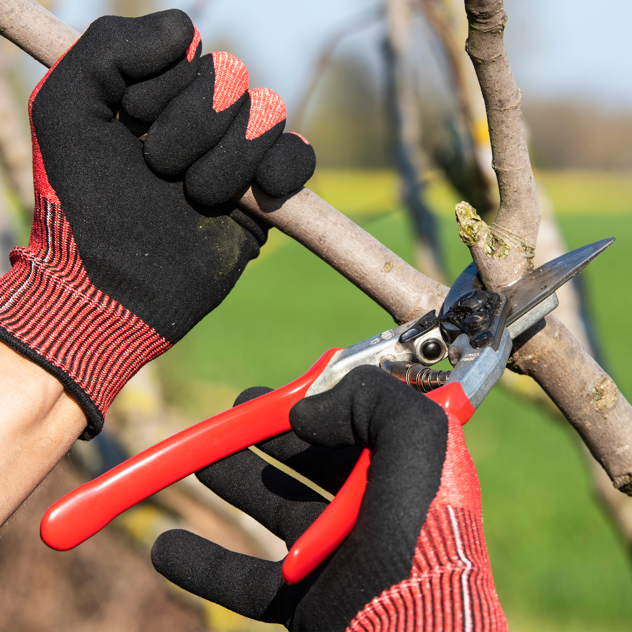 Guante de jardinería Felco 701