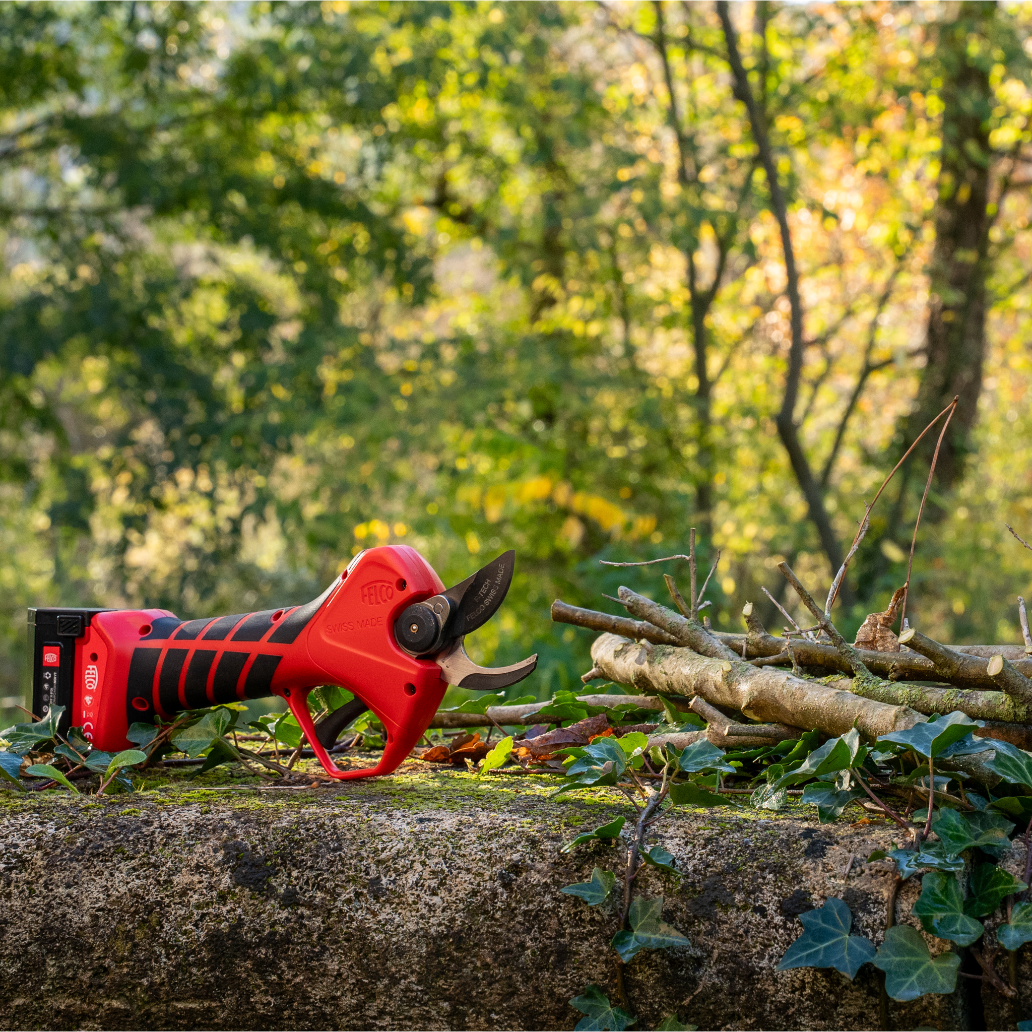 Felco 2e