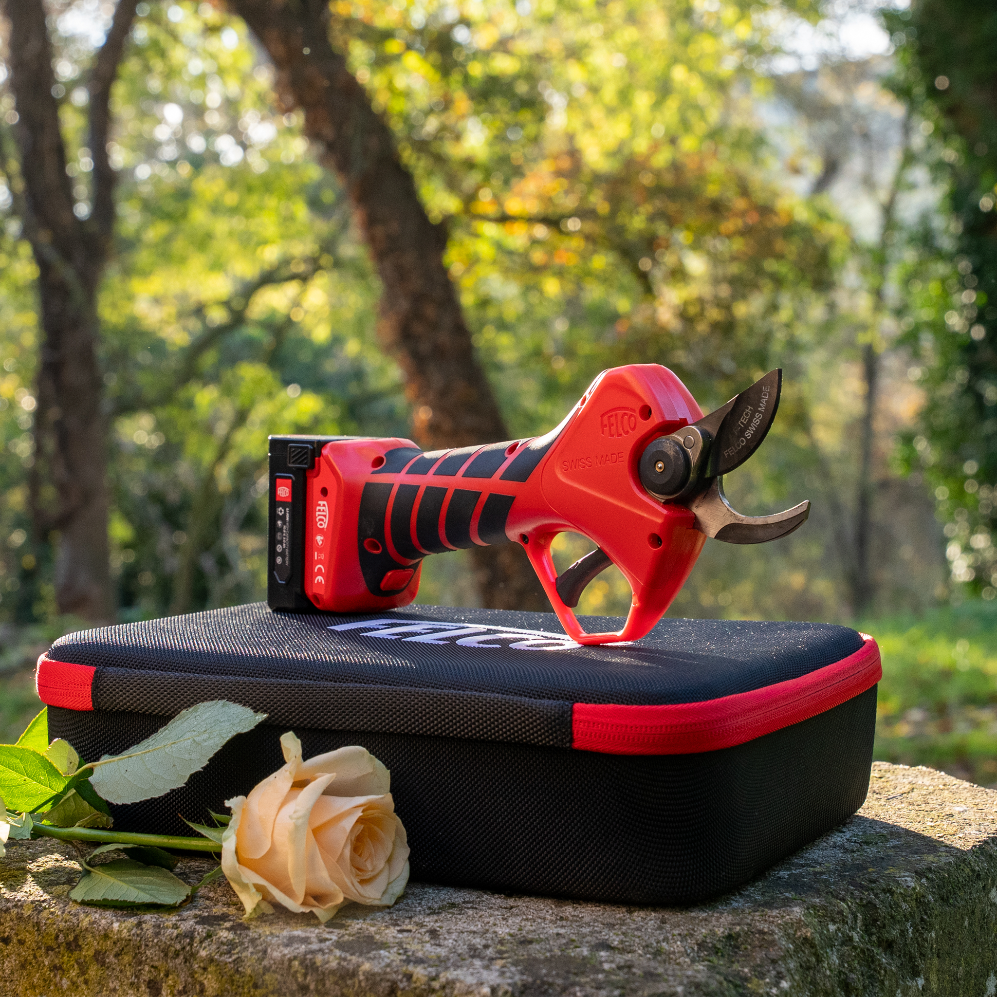 Felco 2e