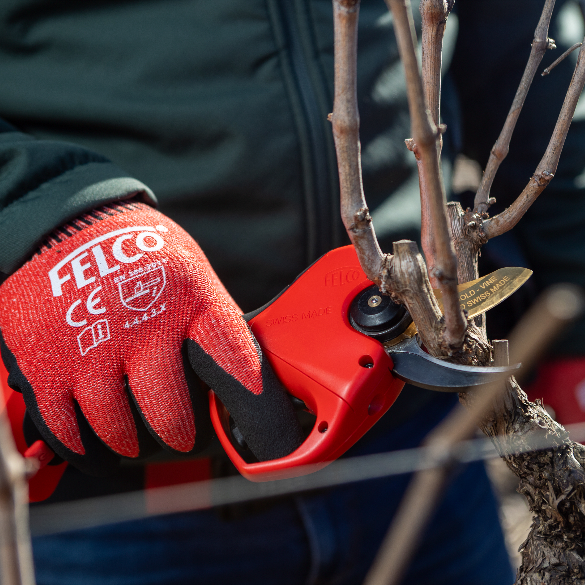 Felco 834V VIÑA