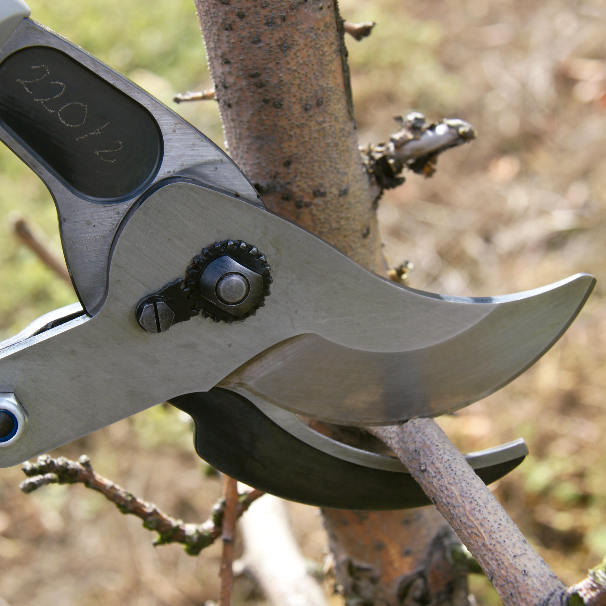 Tijerón de poda Felco 220 80 cm 